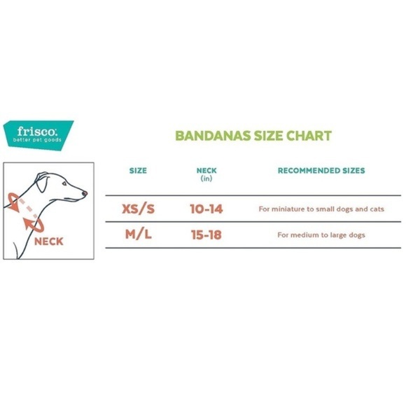 Spring Cat Bandana 🐣 - Picture 8 of 15